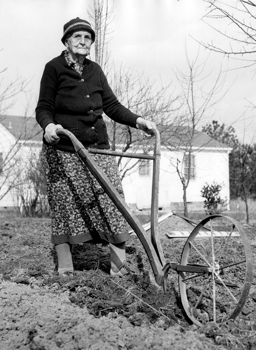 gardening